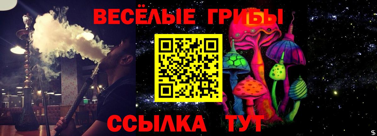 Галлюциногенные грибы мухоморы Дербент