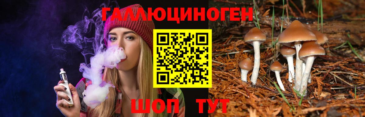 Псилоцибиновые грибы мицелий  Псилоцибиновые грибы GOLDEN TEACHER  Дербент  Вход с VPN 
